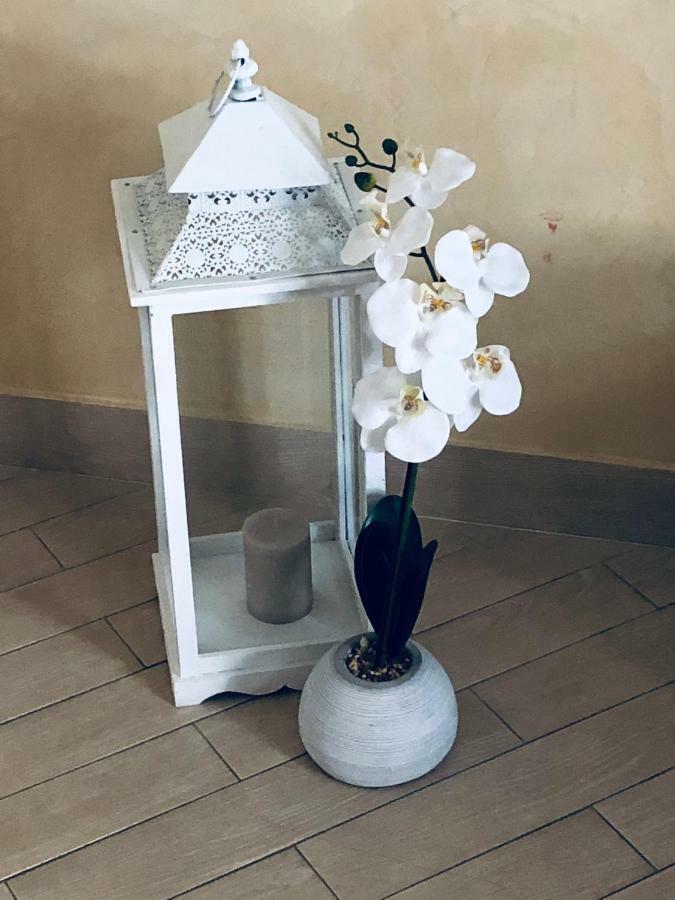 Corte Bianca 莫诺波利 外观 照片